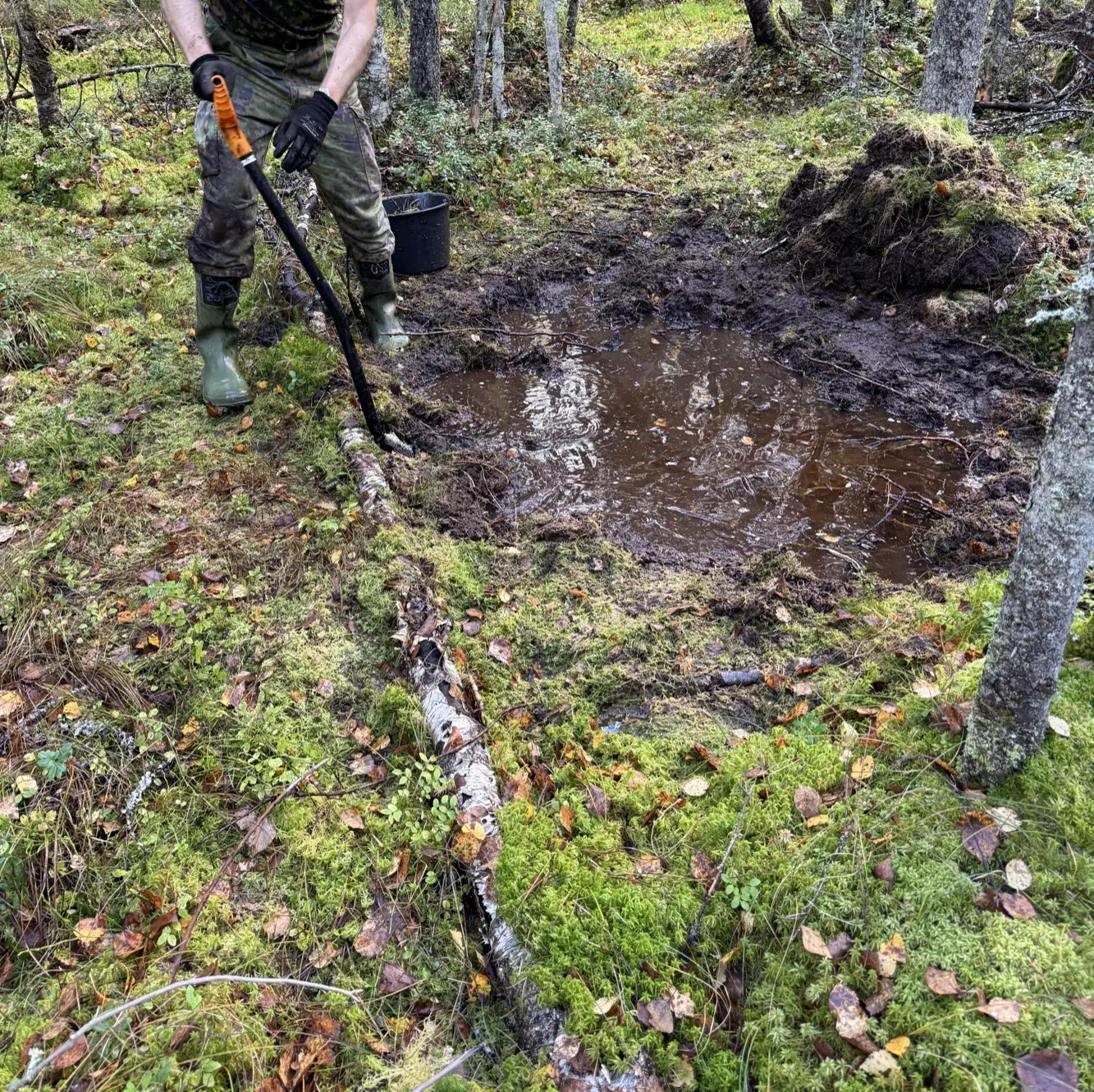 Padon rakentamista korpisuolla Helvetinjärven kansallispuistossa