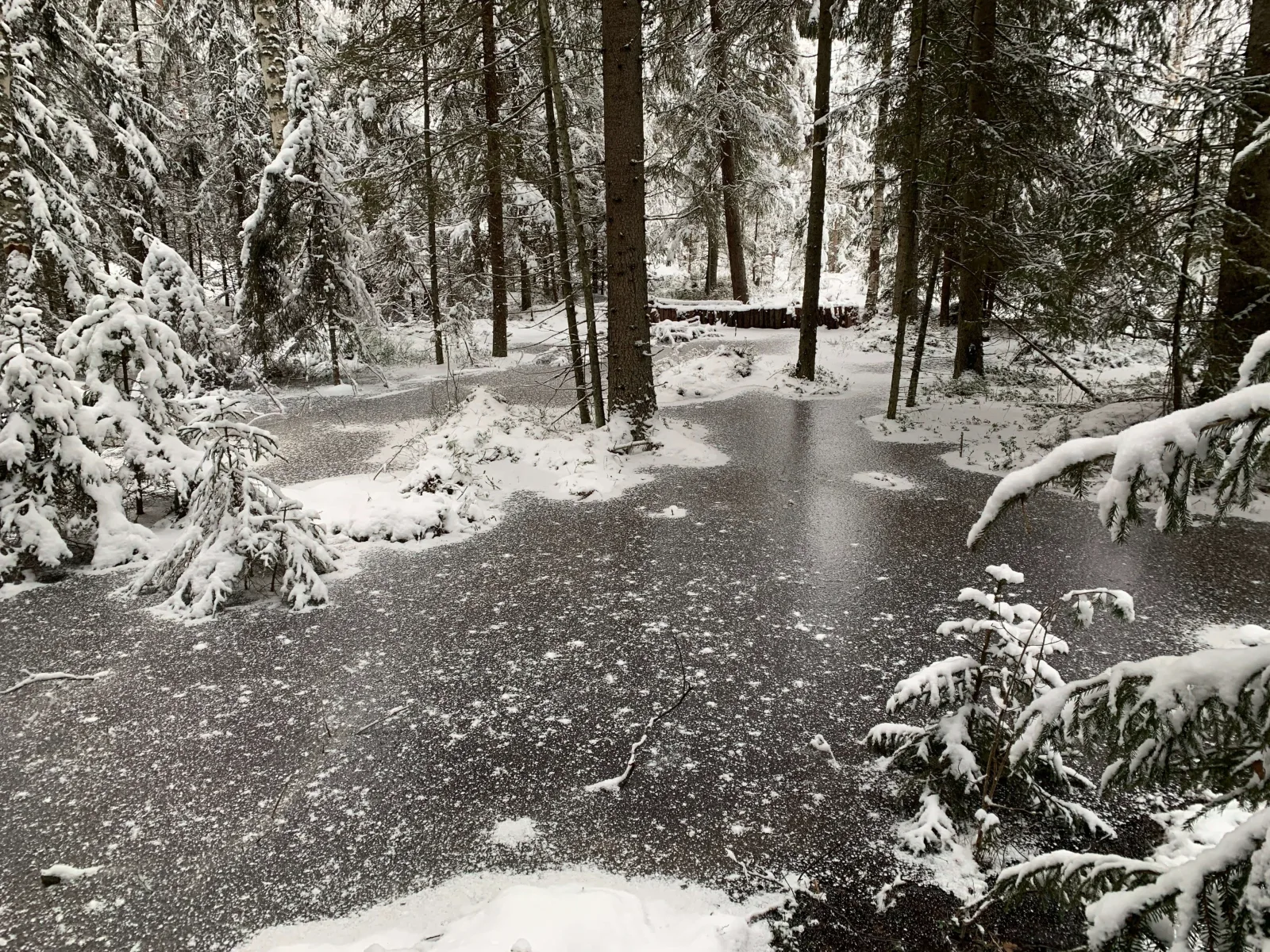 Vesi noussut keväällä