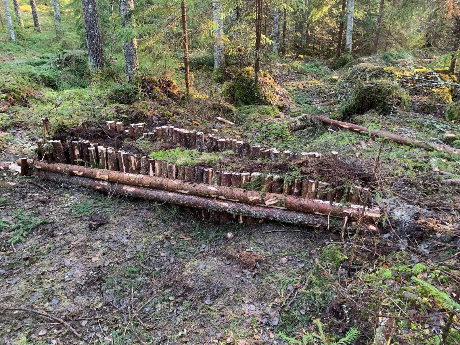 Kuiva maa